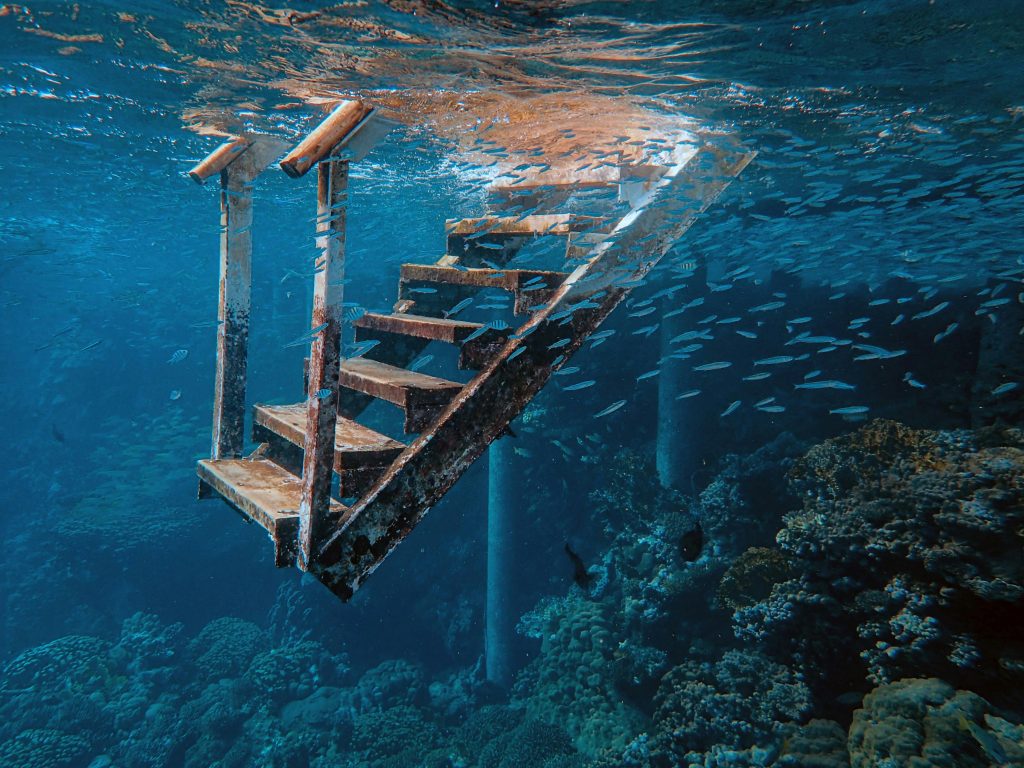 A rusted metal staircase descends into clear blue water, surrounded by small fish and coral formations below—a quiet reminder of environmental impact on delicate marine habitats.