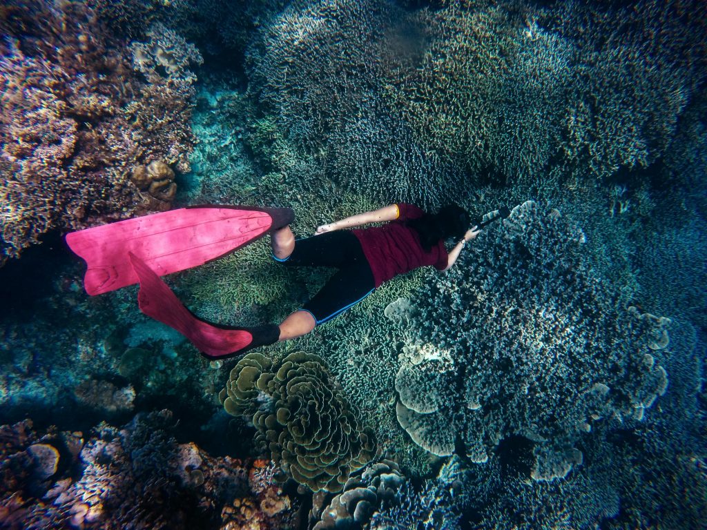 A person wearing red fins and dark swimwear snorkels above a vibrant coral reef in clear blue water, exploring a fragile ecosystem that scientists warn is threatened by climate change.